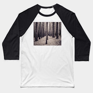 Speckled light & tall trees Baseball T-Shirt